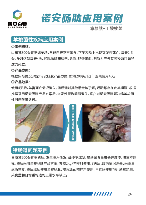 动保手册20230612_画板 1 副本 29.jpg
