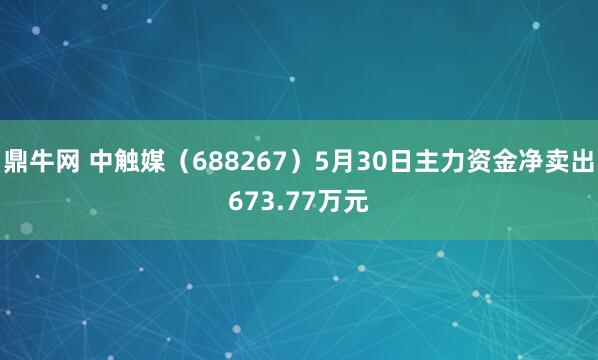 鼎牛网 中触媒（688267）5月30日主力资金净卖出673.77万元