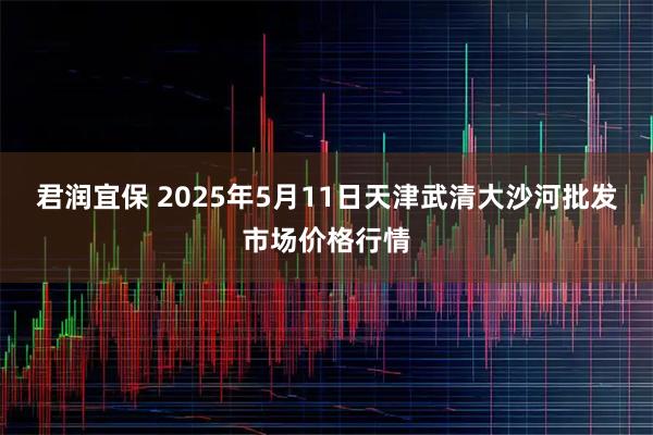 君润宜保 2025年5月11日天津武清大沙河批发市场价格行情